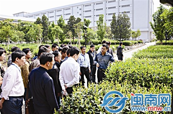 學員們到知名茶企參觀學習